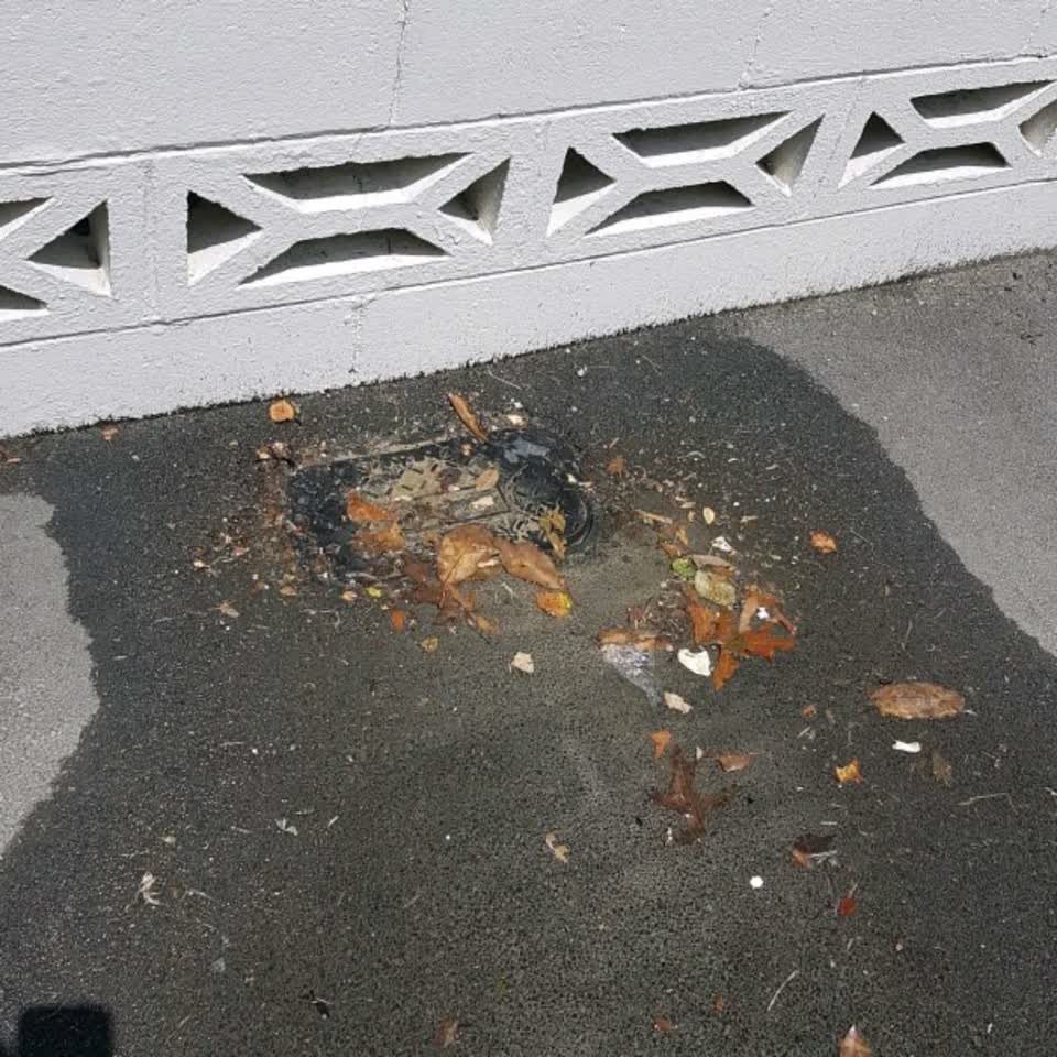 The photograph attached to this water supply report