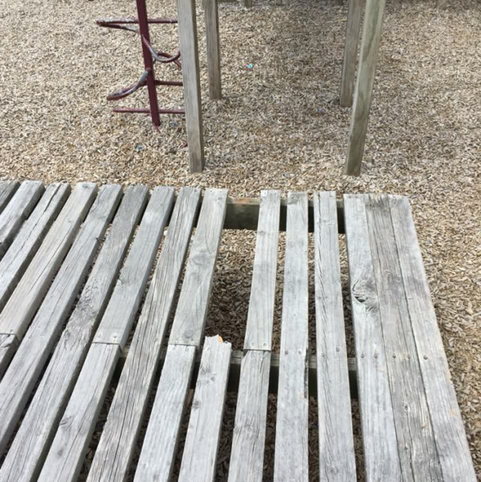 The photograph attached to this parks report