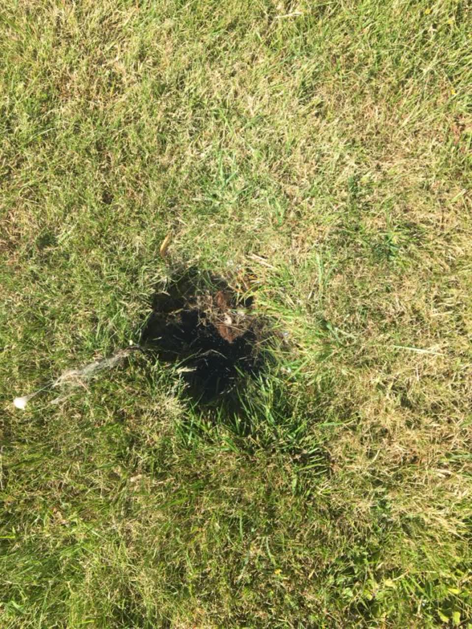The photograph attached to this water supply report