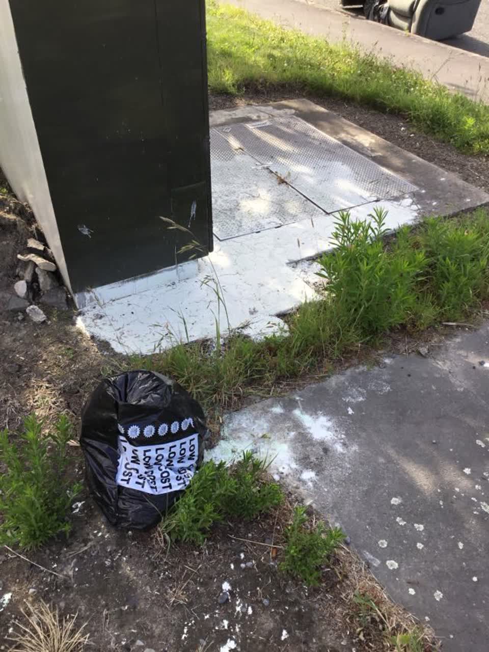 The photograph attached to this rubbish/recycling report
