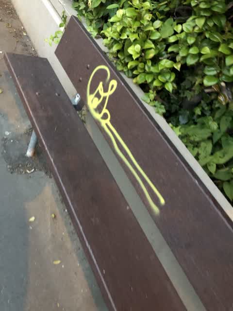 Graffiti, a report photo