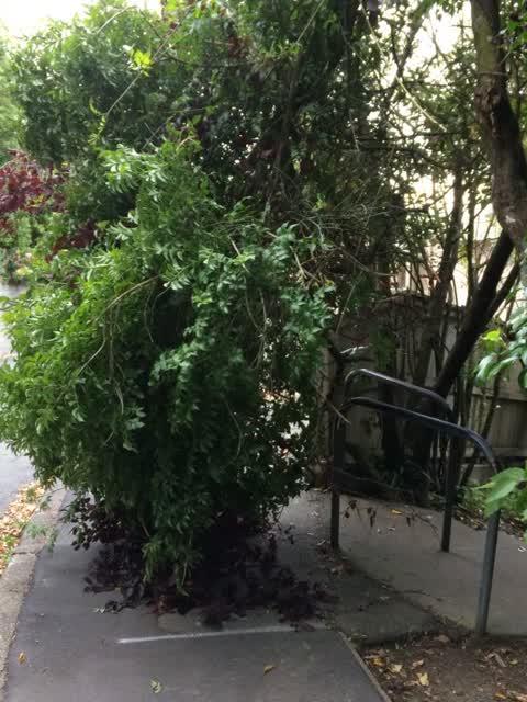 Roading/Streets, a report photo