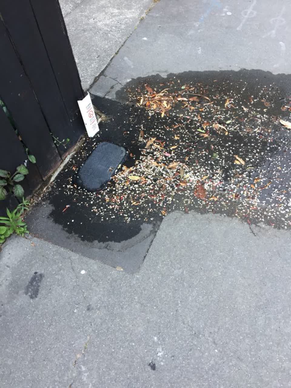 The photograph attached to this wastewater/stormwater report