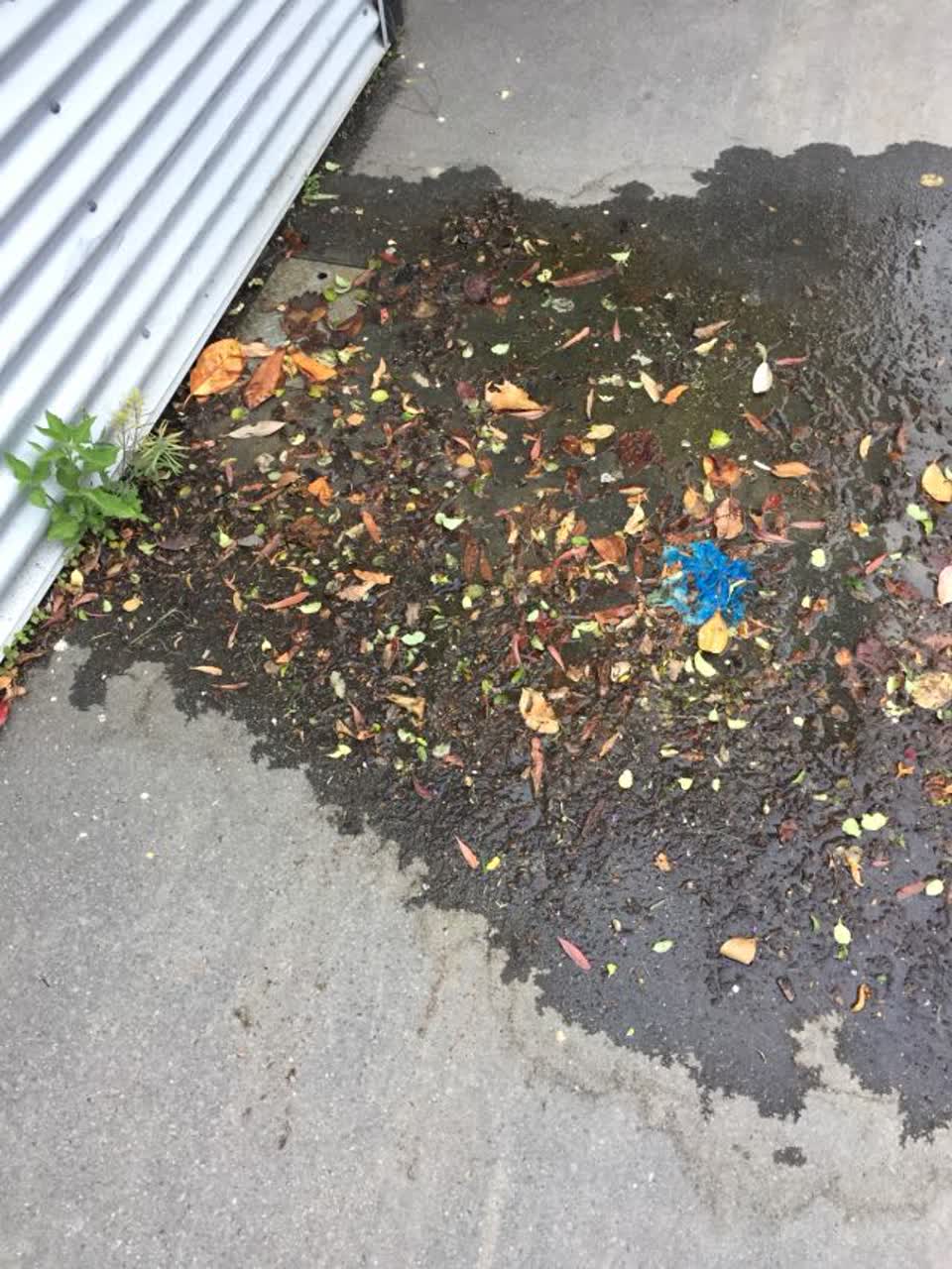 The photograph attached to this water supply report