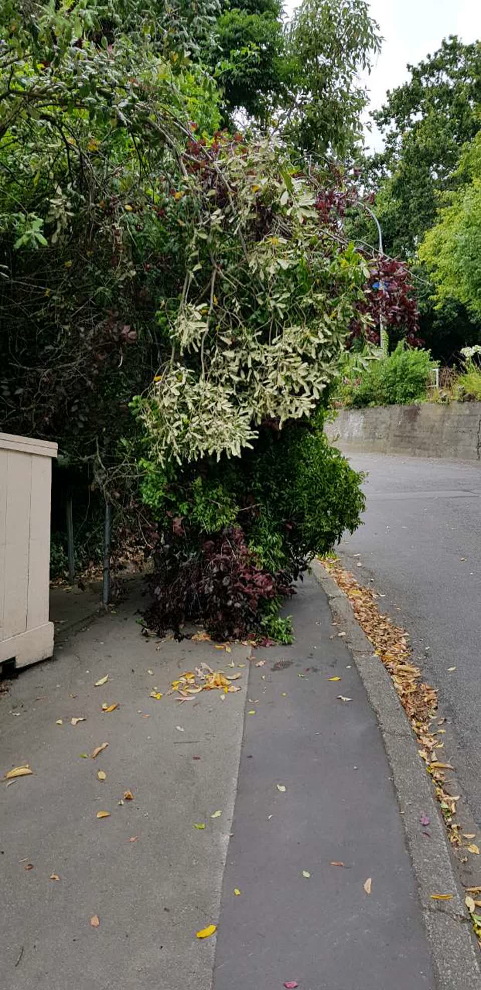 The photograph attached to this roading/streets report