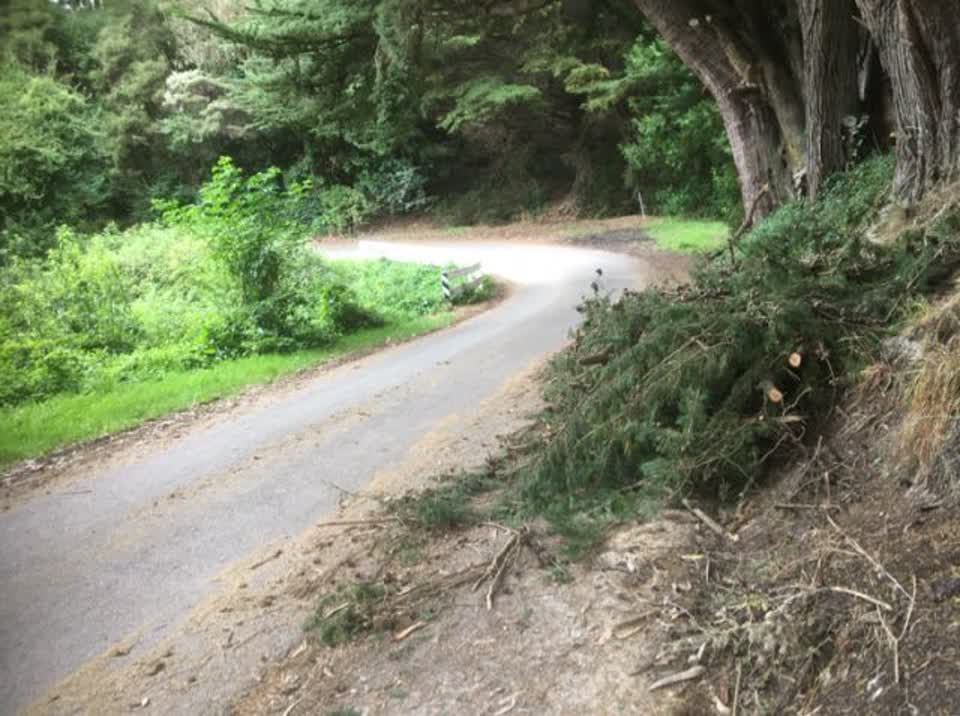 The photograph attached to this roading/streets report
