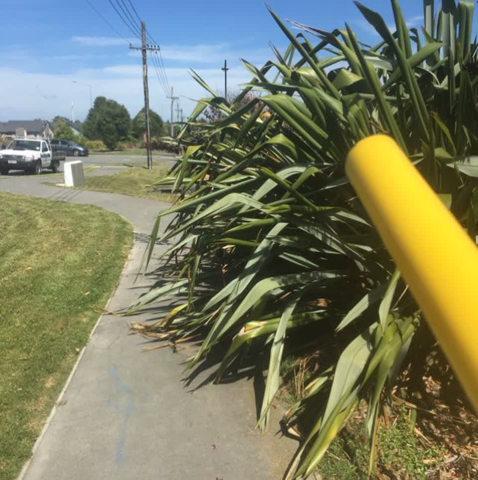 The photograph attached to this parks report