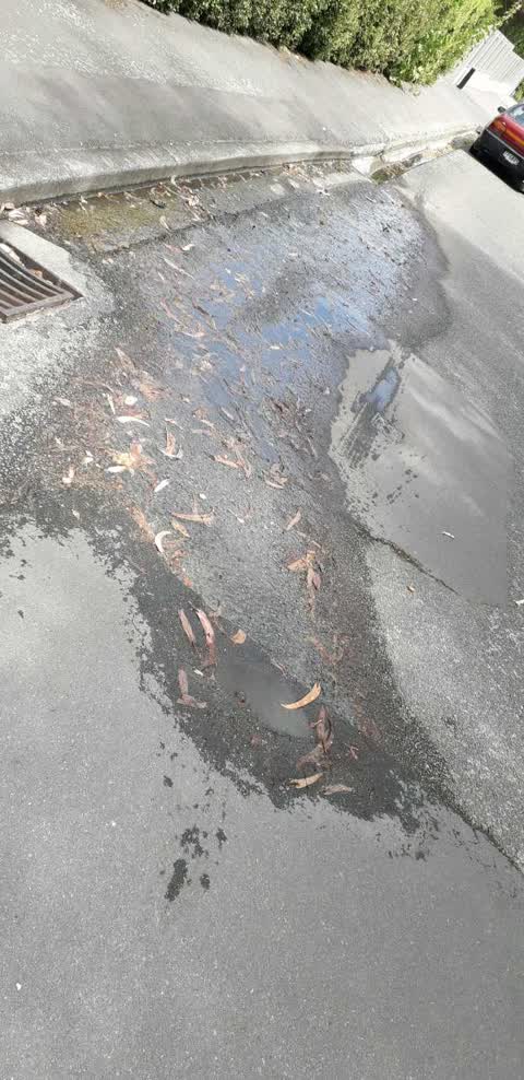 Water Supply, a report photo