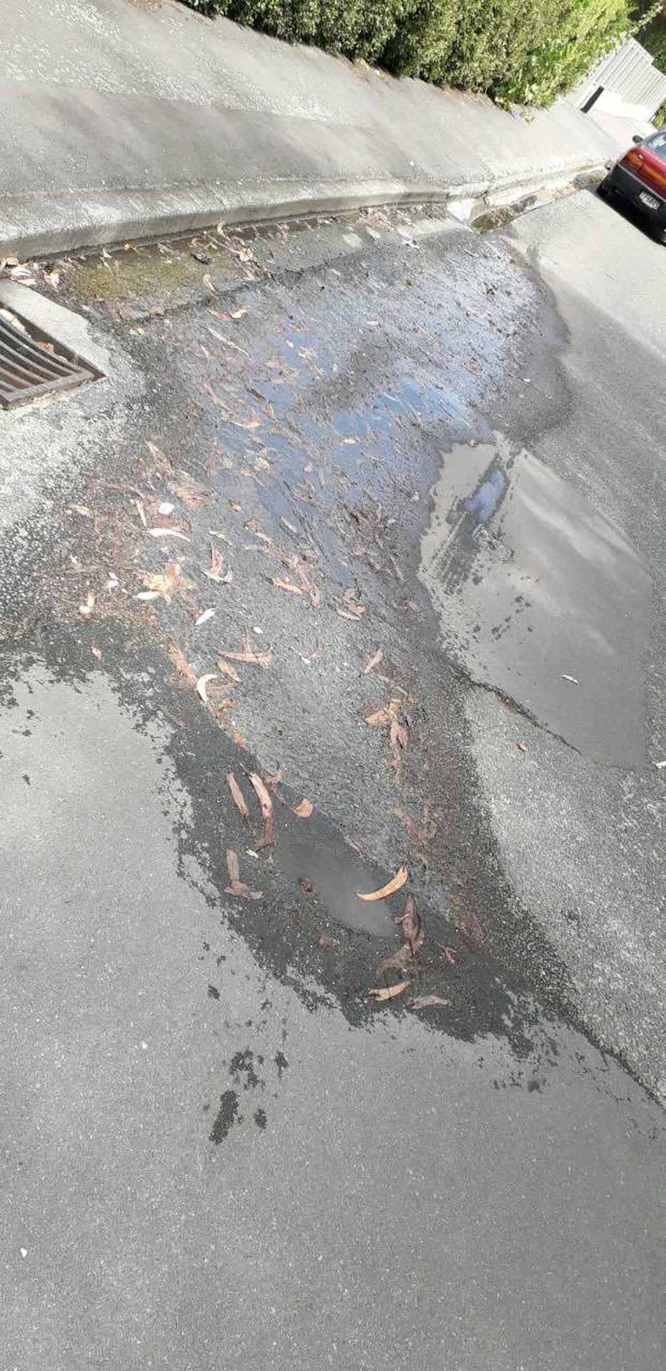 The photograph attached to this water supply report
