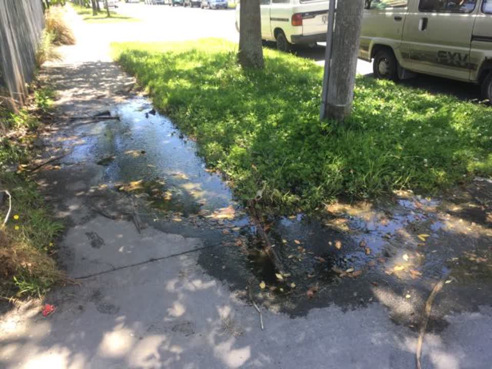 The photograph attached to this water supply report