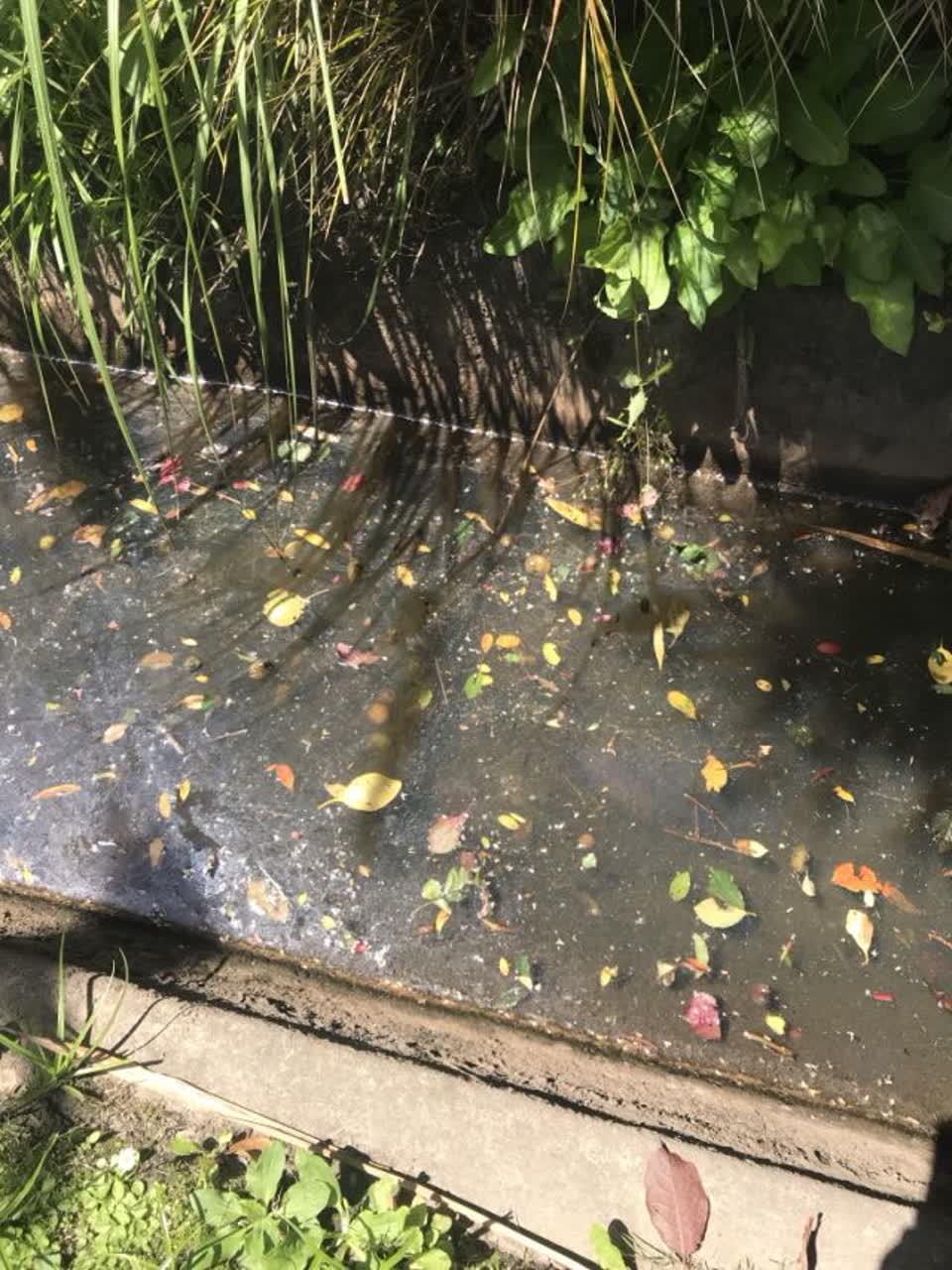 The photograph attached to this wastewater/stormwater report