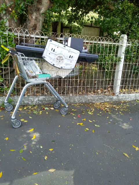 Rubbish/Recycling, a report photo