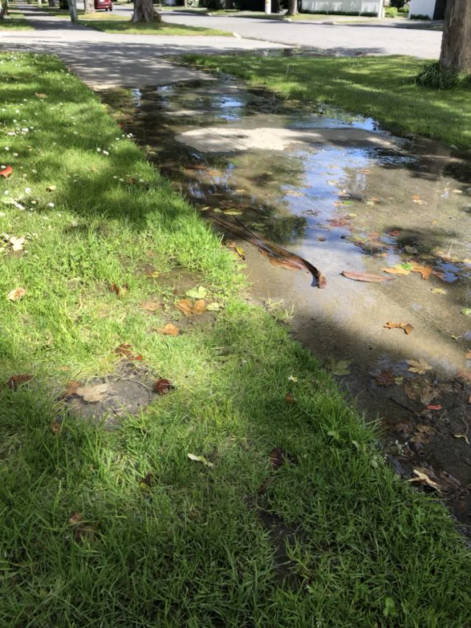 The photograph attached to this wastewater/stormwater report