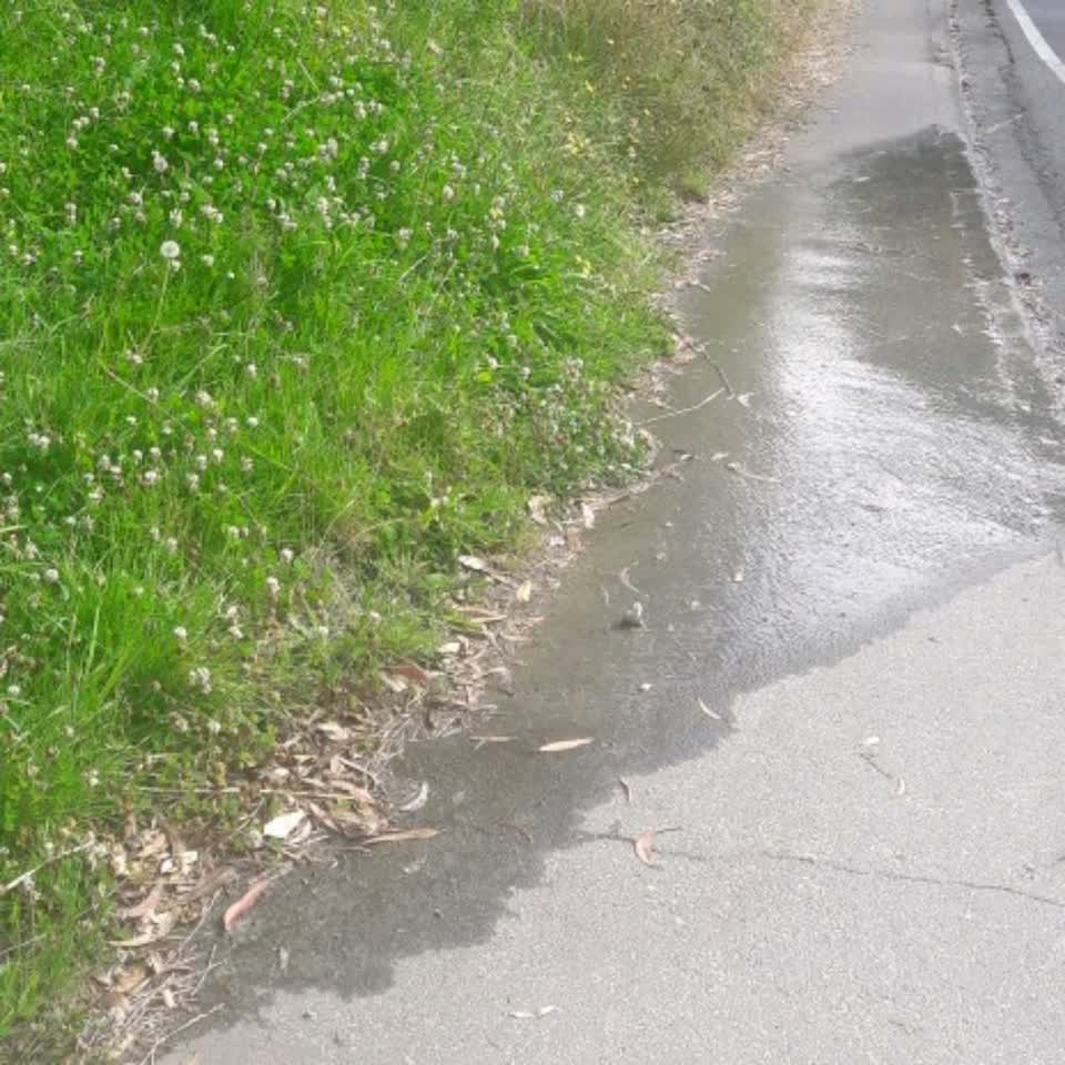 The photograph attached to this water supply report