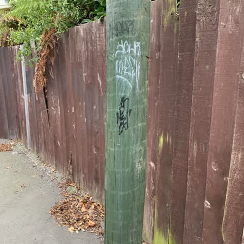 Graffiti, a report photo