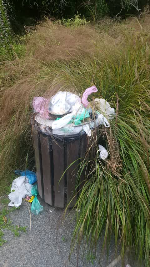 Rubbish/Recycling — a report photo