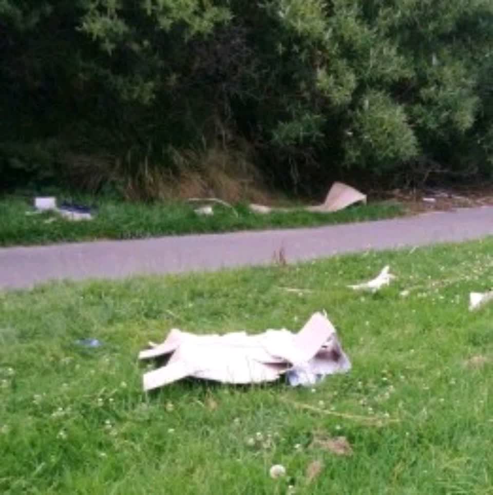 The photograph attached to this parks report