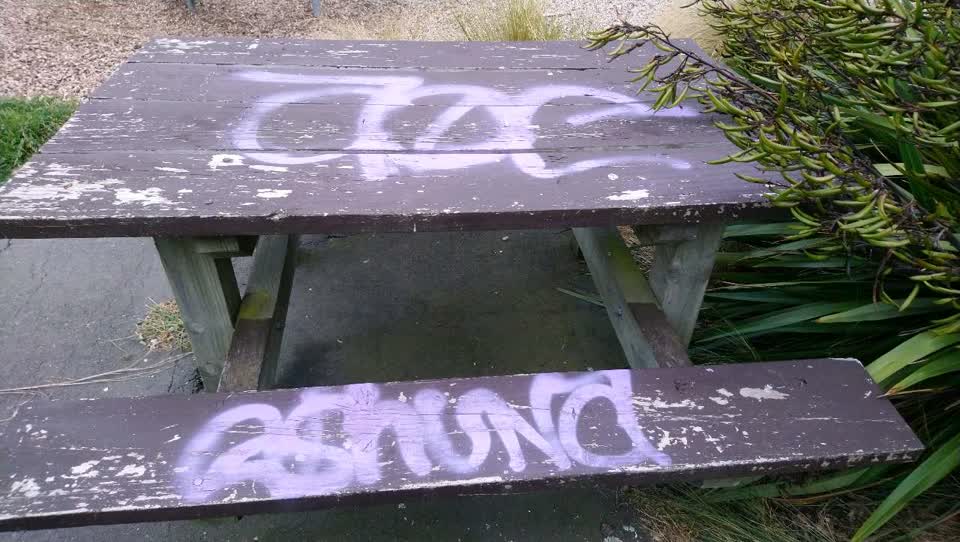 The photograph attached to this graffiti report