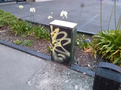 Graffiti, a report photo
