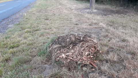 Roading/Streets, a report photo