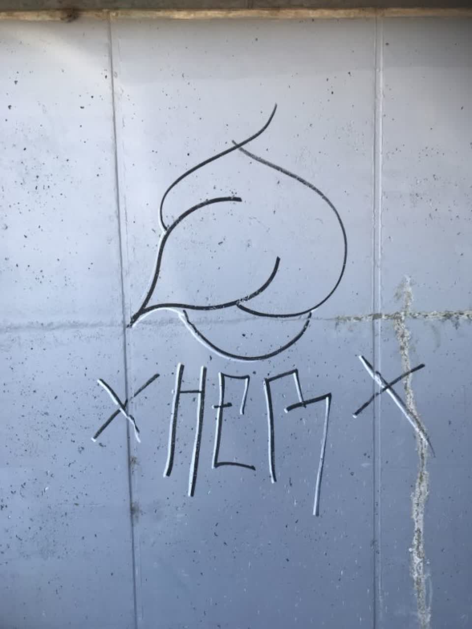 The photograph attached to this graffiti report