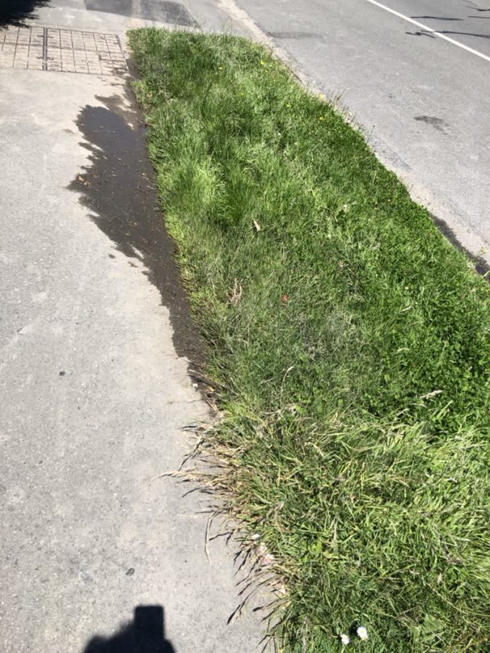 The photograph attached to this flooding report
