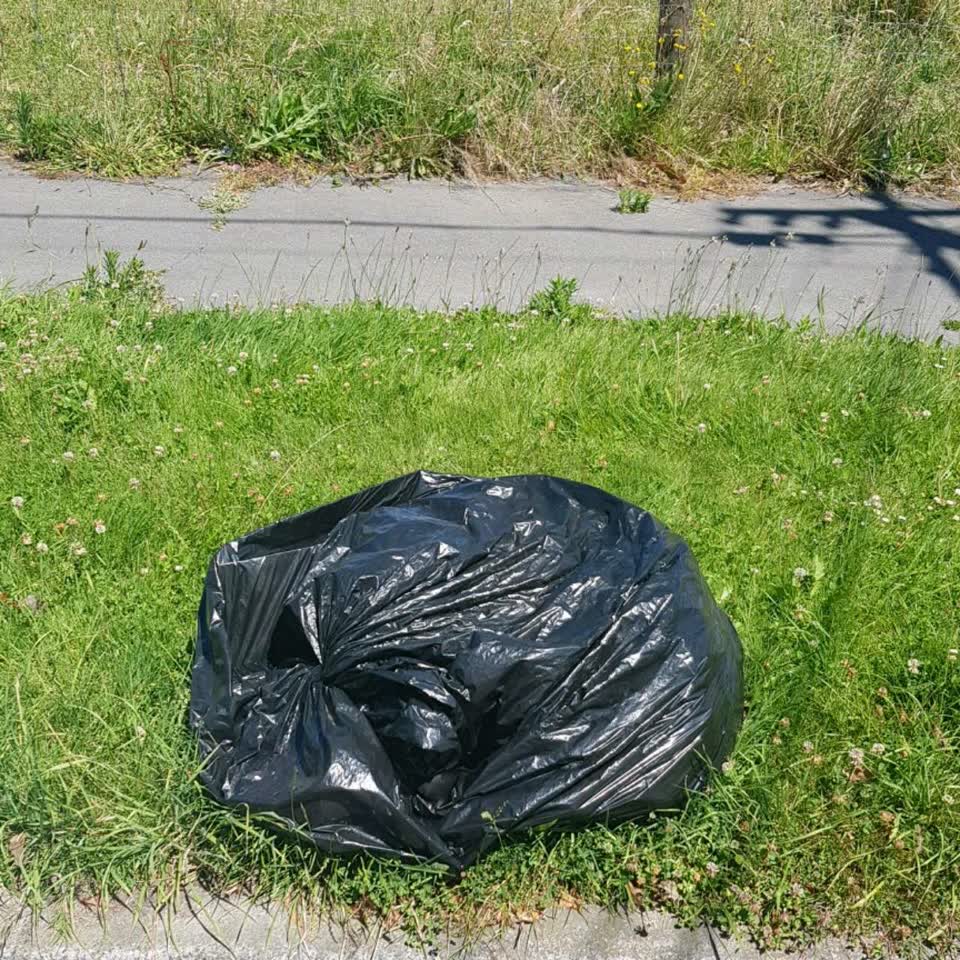 The photograph attached to this rubbish/recycling report