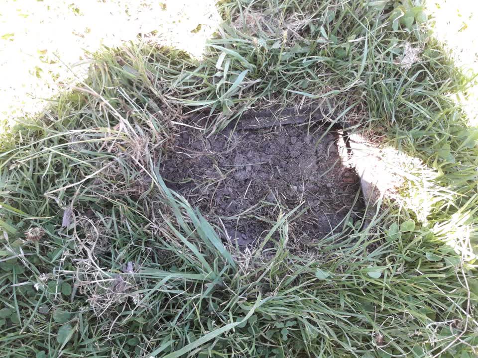 The photograph attached to this parks report