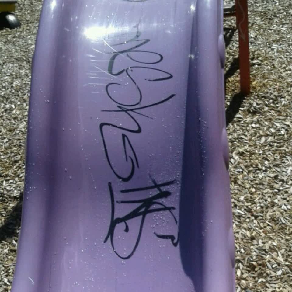 The photograph attached to this graffiti report