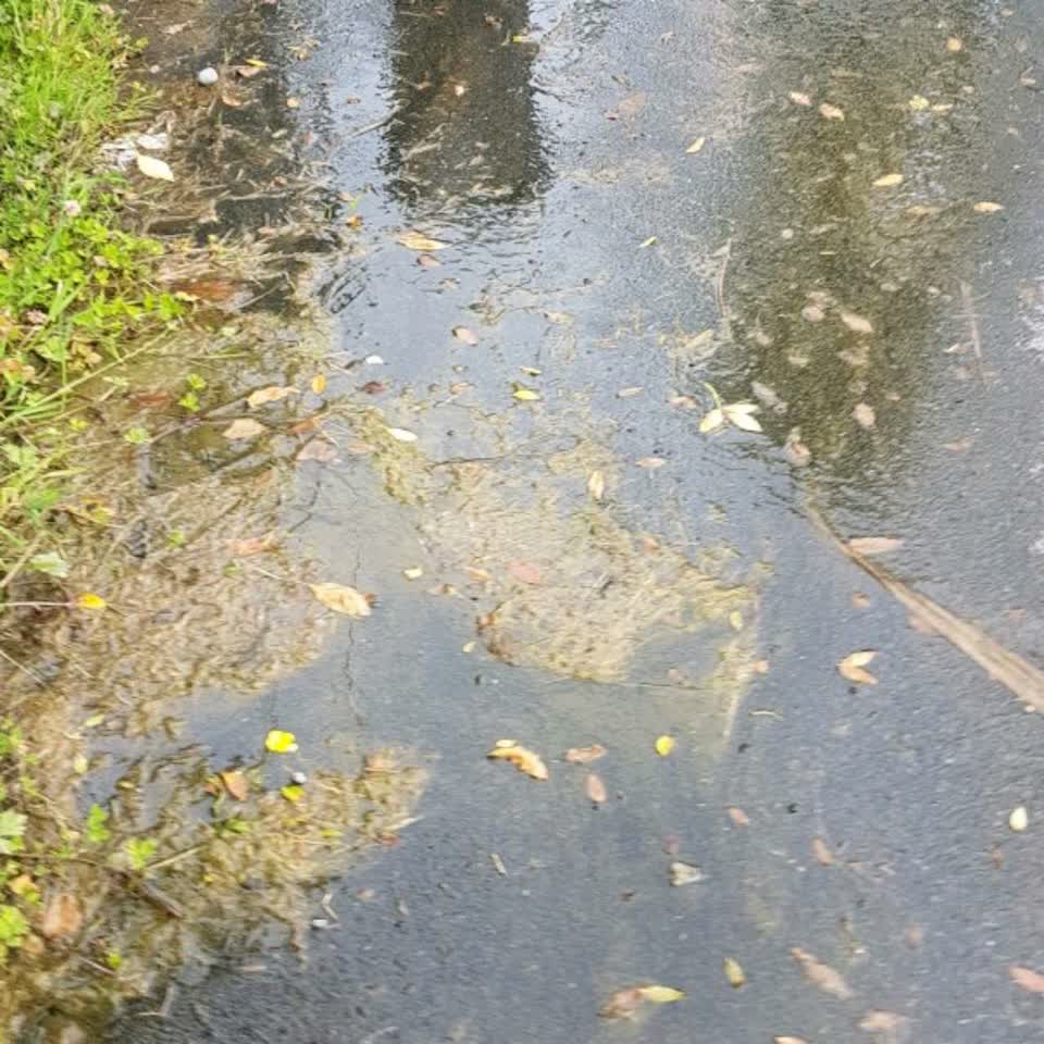 The photograph attached to this flooding report
