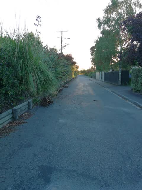 Roading/Streets, a report photo