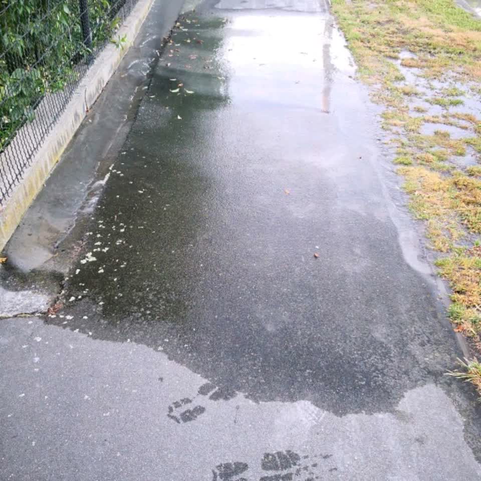 The photograph attached to this wastewater/stormwater report