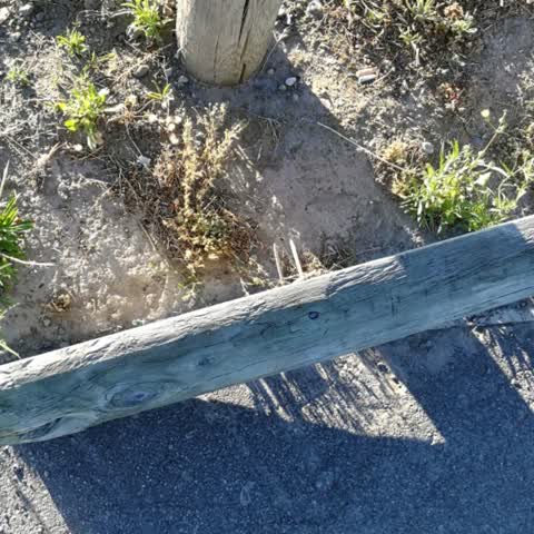 Roading/Streets, a report photo