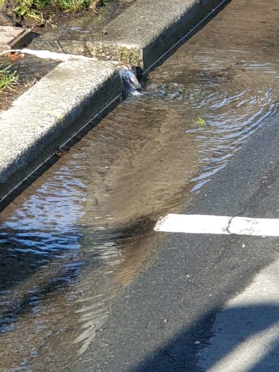 The photograph attached to this water supply report