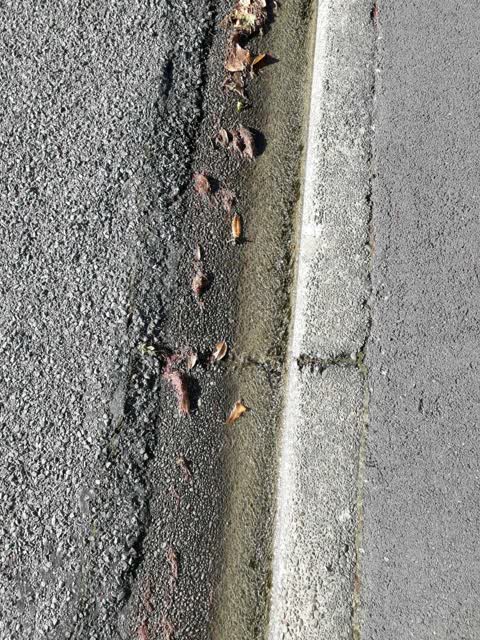 Wastewater/Stormwater, a report photo