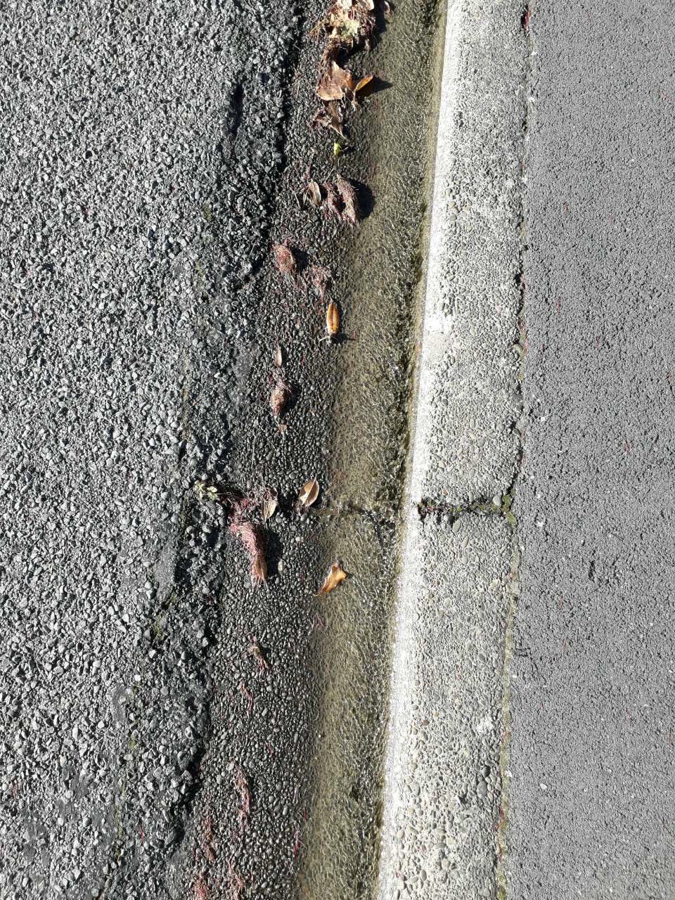 The photograph attached to this wastewater/stormwater report