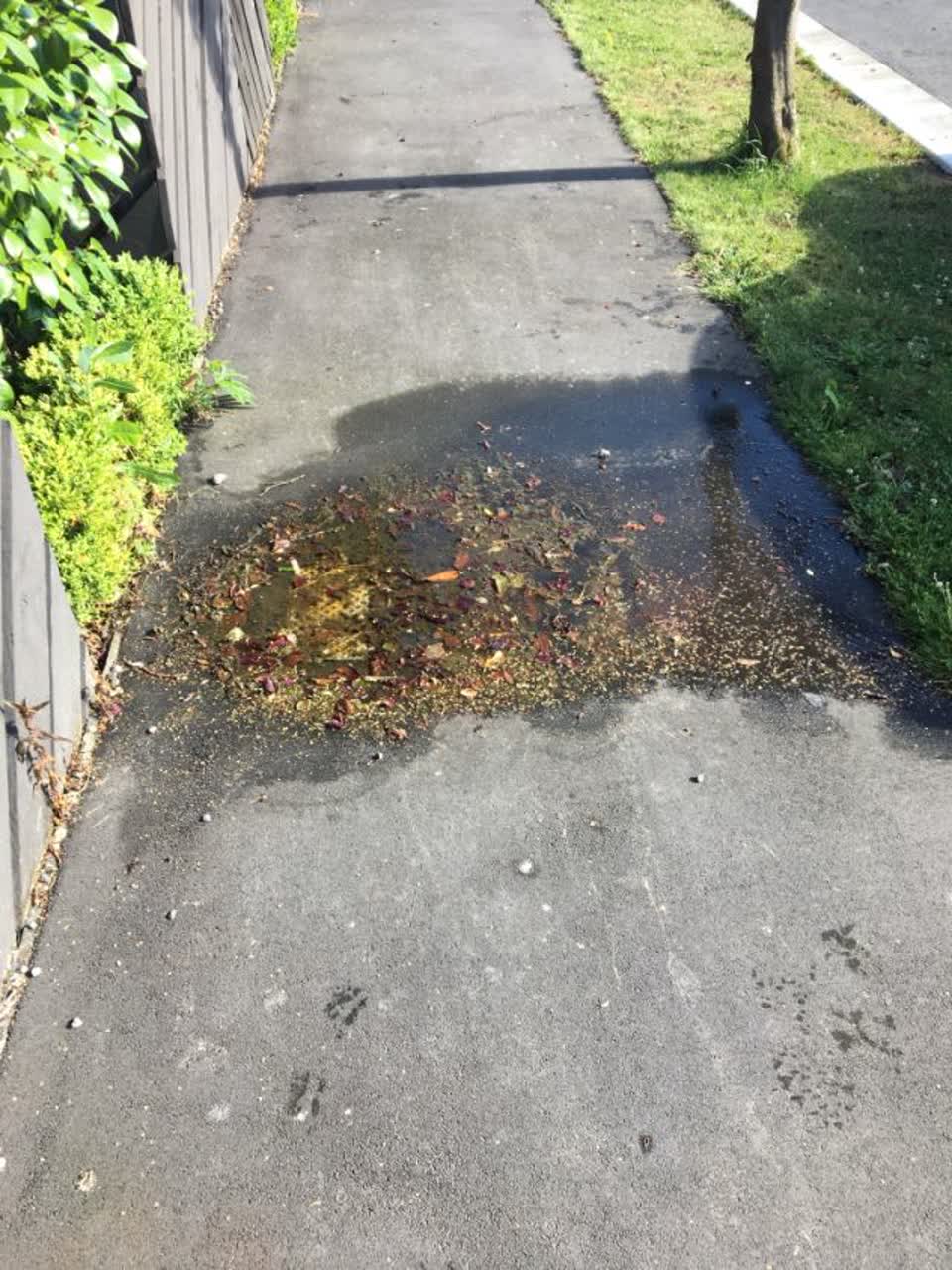 The photograph attached to this water supply report