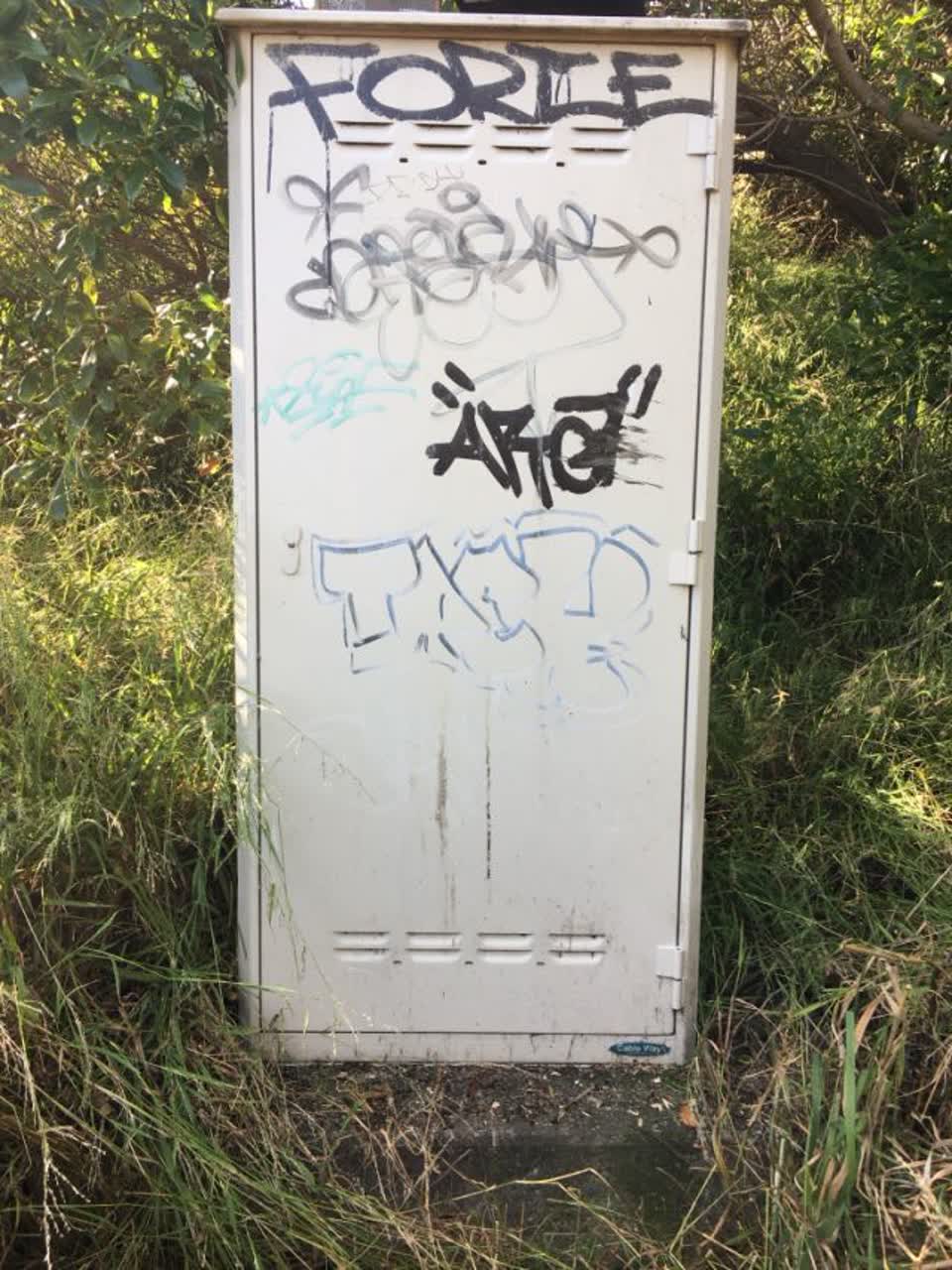 The photograph attached to this graffiti report