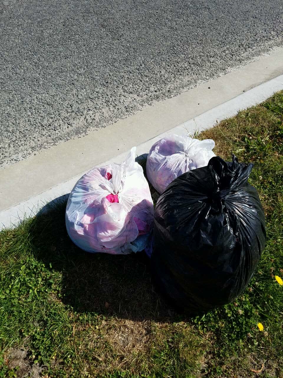 The photograph attached to this rubbish/recycling report