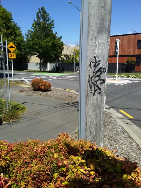 Graffiti — a report photo