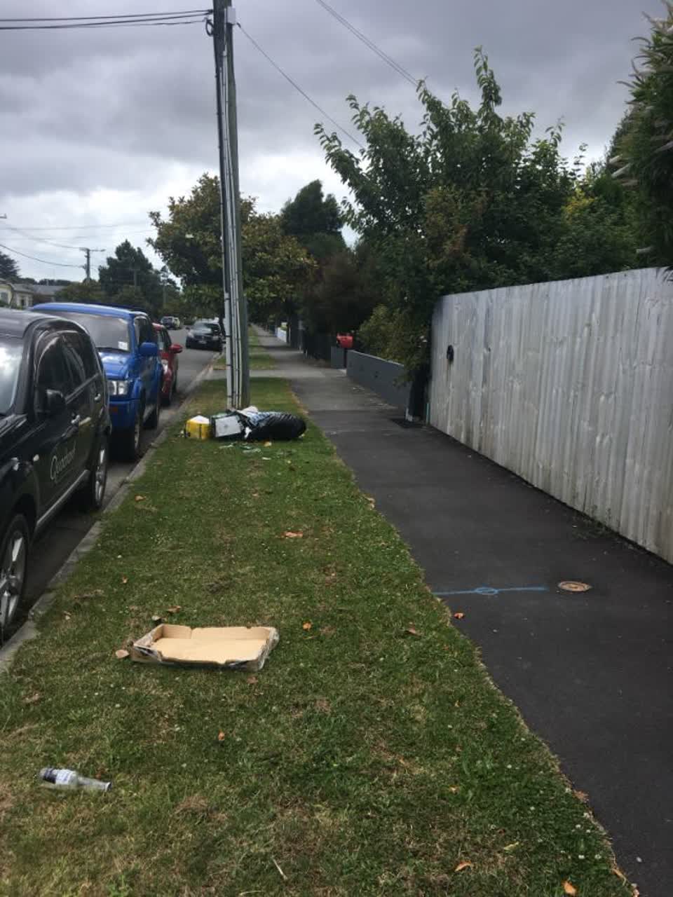 The photograph attached to this rubbish/recycling report