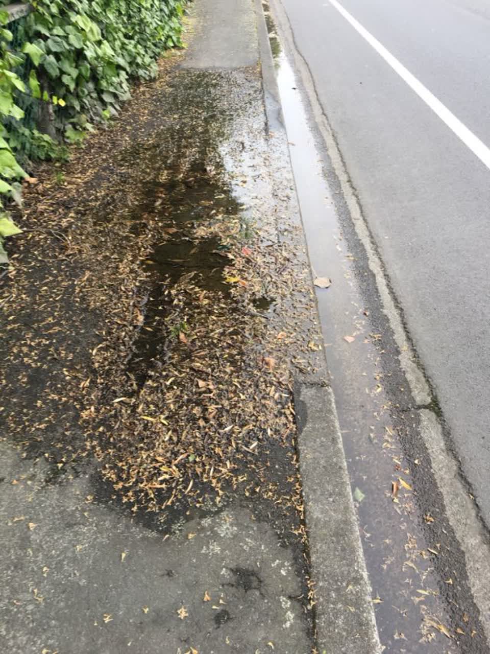 The photograph attached to this flooding report