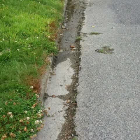 Wastewater/Stormwater, a report photo