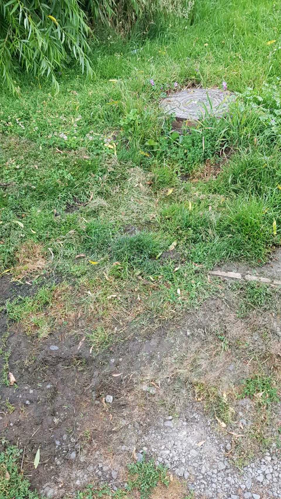 The photograph attached to this wastewater/stormwater report
