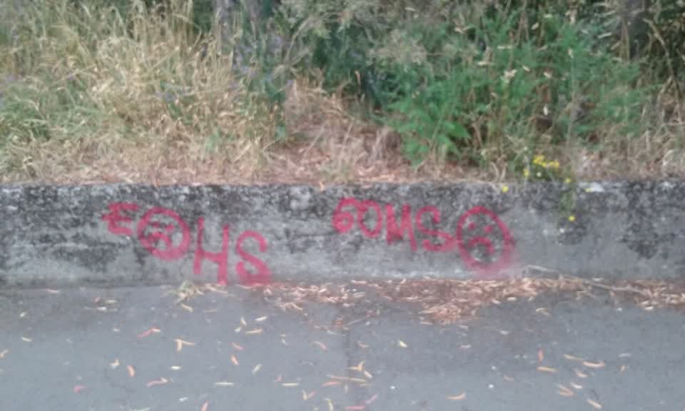 The photograph attached to this graffiti report