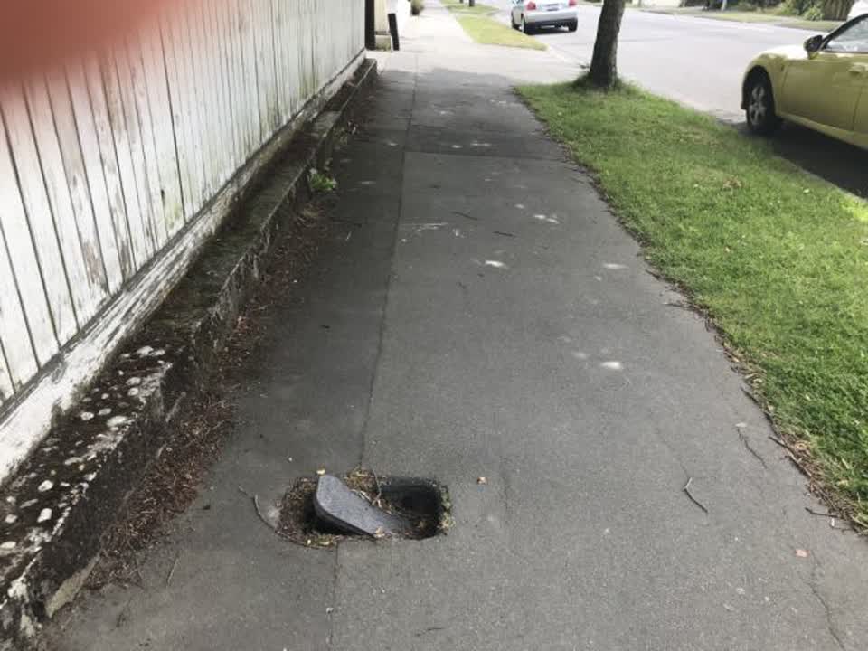 The photograph attached to this roading/streets report