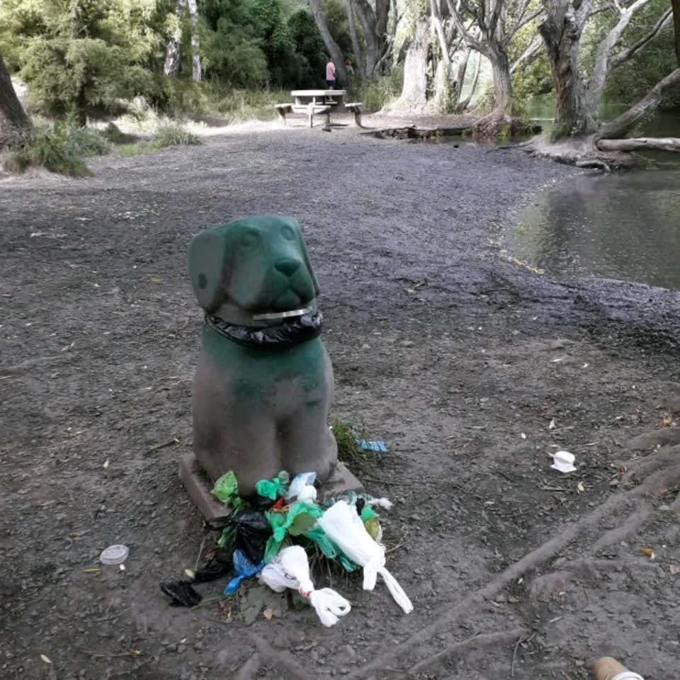 The photograph attached to this rubbish/recycling report