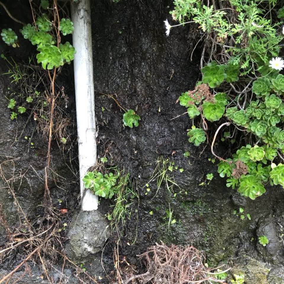 The photograph attached to this water supply report