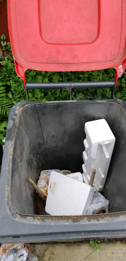 Rubbish/Recycling, a report photo