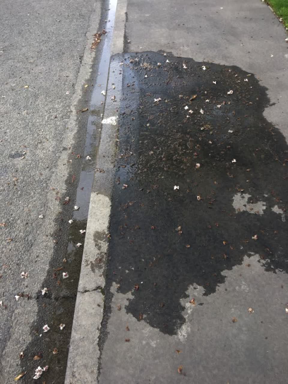 The photograph attached to this water supply report